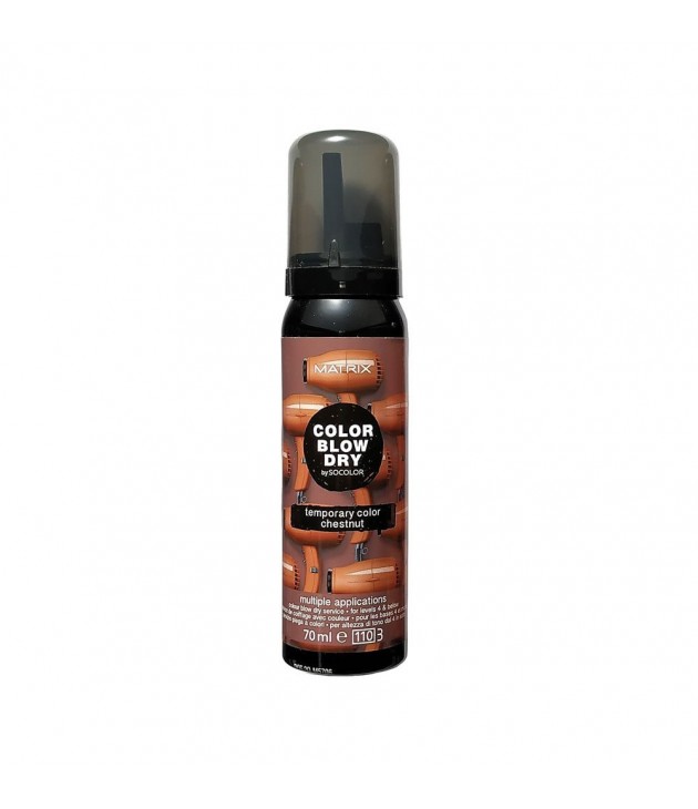Matrix Color Blow Dry Chestnut 70 Ml